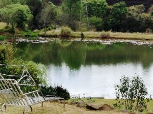 Caversham Hall Garden